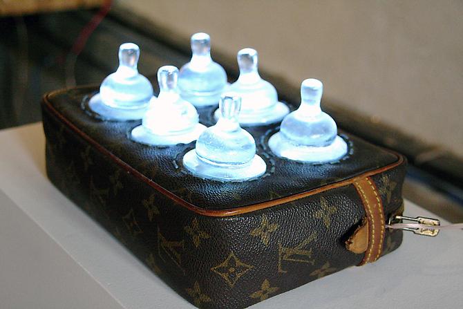 Louis vuitton hot sale baby bottle